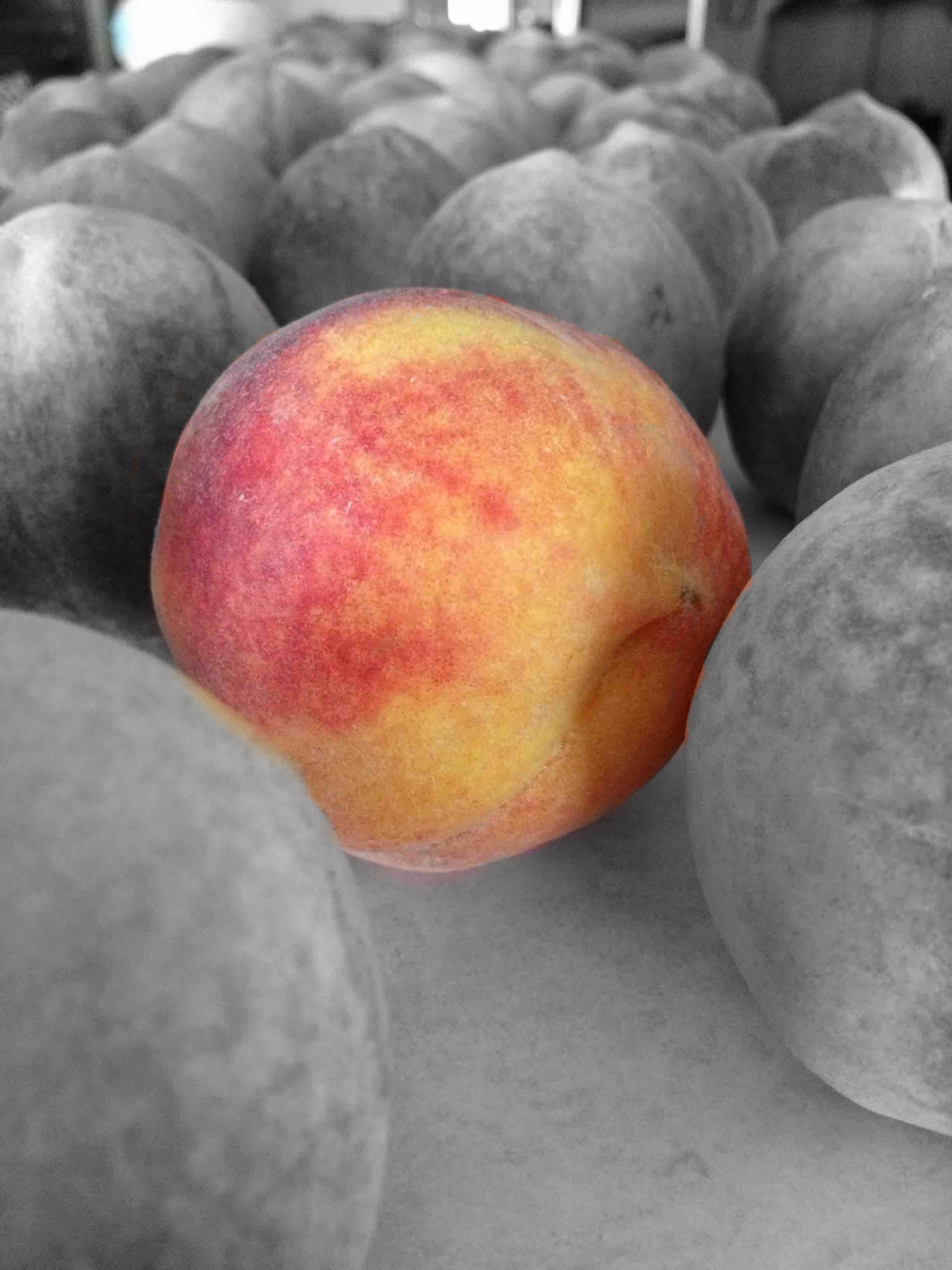 Peach from Michigan